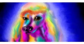 Drawing of Poodle by Nova