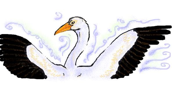 Stork Drawing By Hahah Draw And Guess Gallery