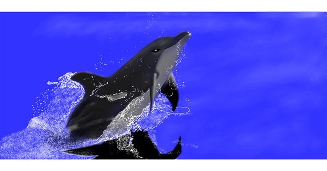 Drawing of Dolphin by Chaching