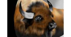 Drawing of Bison by RadiouChka🍉