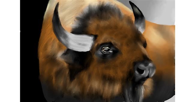 Drawing of Bison by RadiouChka