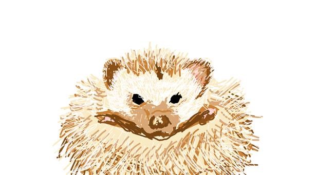 Drawing of Hedgehog by Rayn Solchain