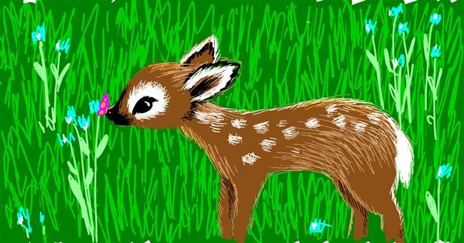 Drawing of Deer by Corincat