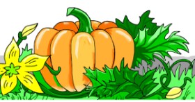 Drawing of Pumpkin by Swimmer