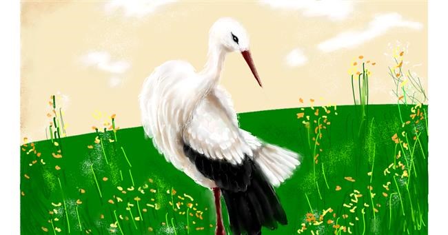 Drawing of Stork by Winter Bunny