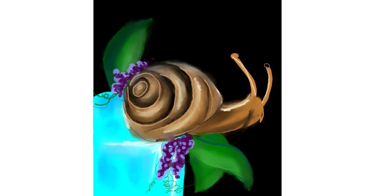 Drawing of Snail by Manali
