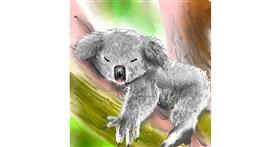 Drawing of Koala by ⋆su⋆vinci彡