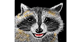 Drawing of Raccoon by Skinny B