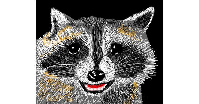 Drawing of Raccoon by Skinny B