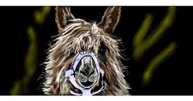 Drawing of Llama by Chaching