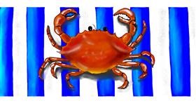 Rak - autor: justme❤️