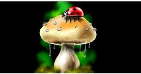 Gljiva - autor: Eclat de Lune
