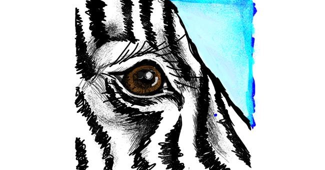 Drawing of Zebra by Dettale
