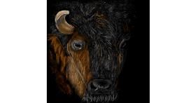 Drawing of Bison by camay