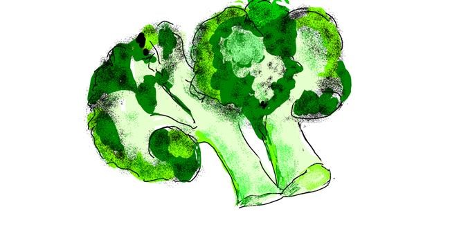 Drawing of Broccoli by Lsk