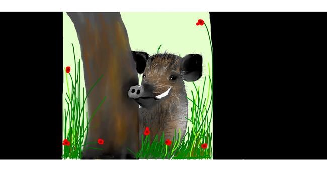 Drawing of Wild boar by Gillian