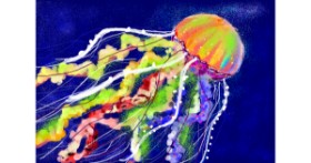 Drawing of Jellyfish by 𝐓𝐎𝐏𝑅𝑂𝐴𝐶𝐻™