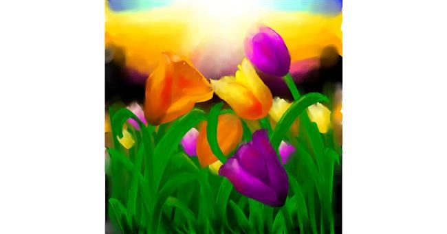 Drawing of Tulips by 🌌Mom💕E🌌