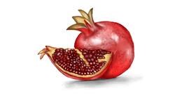 Drawing of Pomegranate by Jan