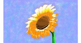Drawing of Sunflower by Sam