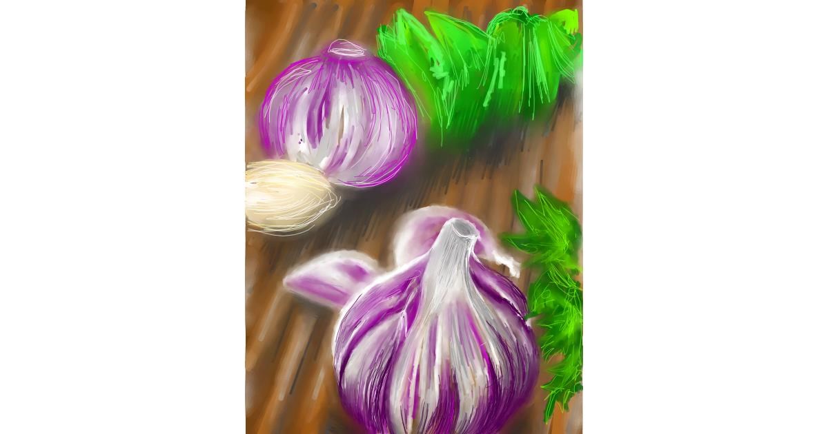 Drawing of Garlic by Vinci