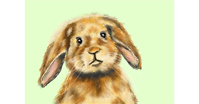 Drawing of Rabbit by Humo de copal
