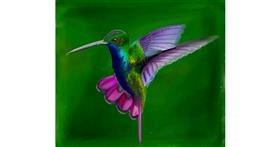 Drawing of Hummingbird by Lou