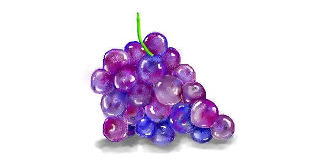 Drawing of Grapes by Debidolittle