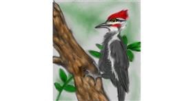 Drawing of Woodpecker by 👽mint