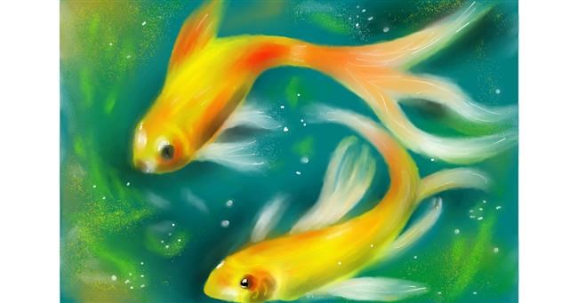 Drawing of Goldfish by Wizard