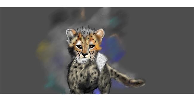 Gepard-Zeichnung von Chaching