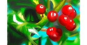 Drawing of Mistletoe by Herbert