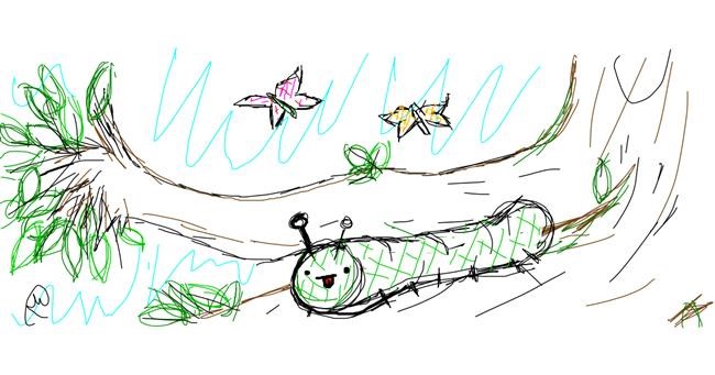 Drawing of Caterpillar by Rosa