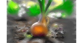 Drawing of Onion by DrawSomething