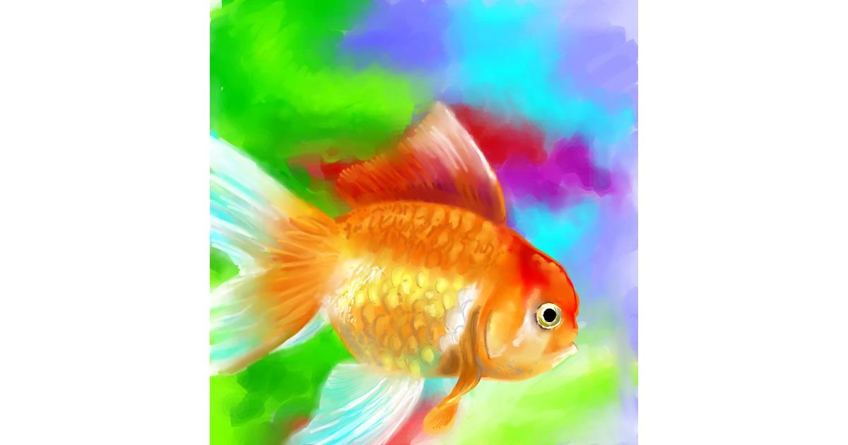 Drawing of Goldfish by Vinci