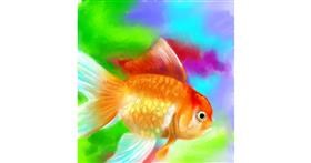 Drawing of Goldfish by ⋆su⋆vinci彡