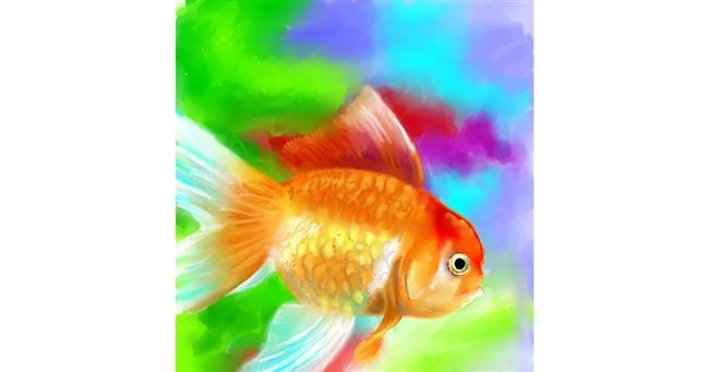 Drawing of Goldfish by ⋆su⋆vinci彡