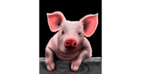Drawing of Pig by Яandi
