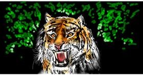 Drawing of Tiger by Eclat de Lune