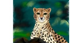 Drawing of Cheetah by Wendy :)