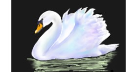 Drawing of Swan by GJP
