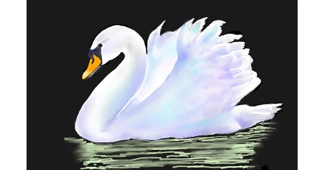 Drawing of Swan by GJP