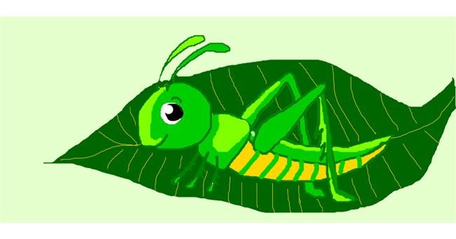 Drawing of Grasshopper by Saw