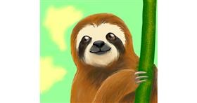 Drawing of Sloth by Wendy :)