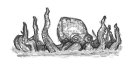 Drawing of Octopus by Archangel