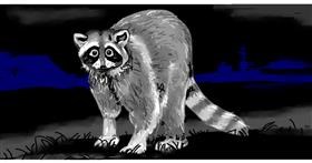 Rakun - autor: Swimmer 