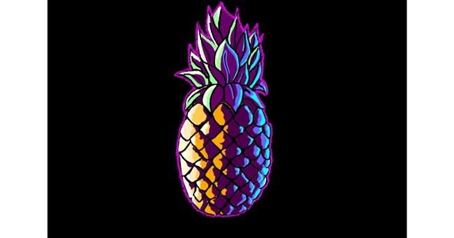Drawing of Pineapple by Monty