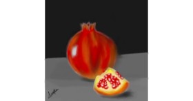 Drawing of Pomegranate by Prapti💜
