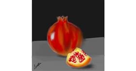 Drawing of Pomegranate by Prapti💜