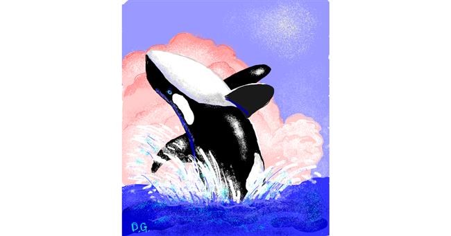 Drawing of Whale by GreyhoundMama
